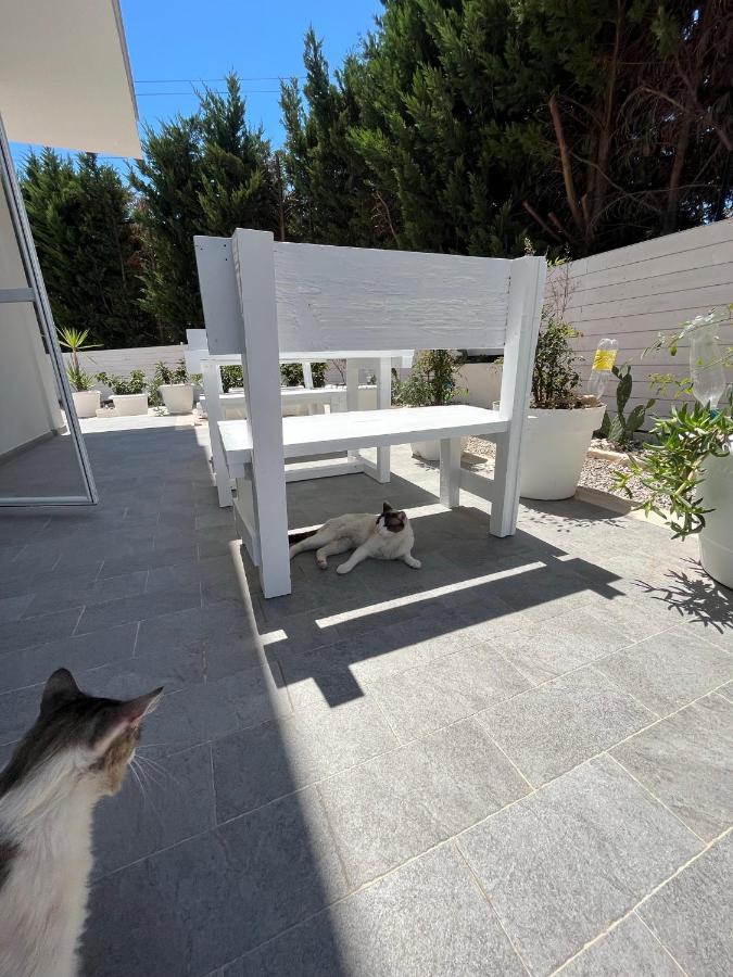 La Casa Di Nina Bed & Breakfast Lecce Eksteriør bilde