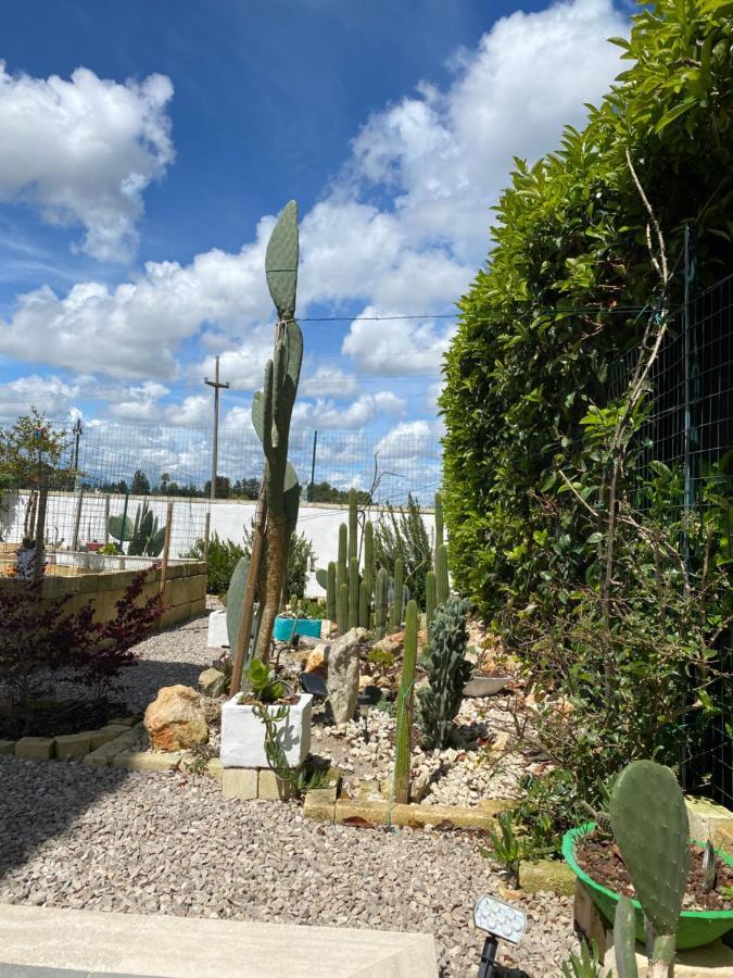La Casa Di Nina Bed & Breakfast Lecce Eksteriør bilde