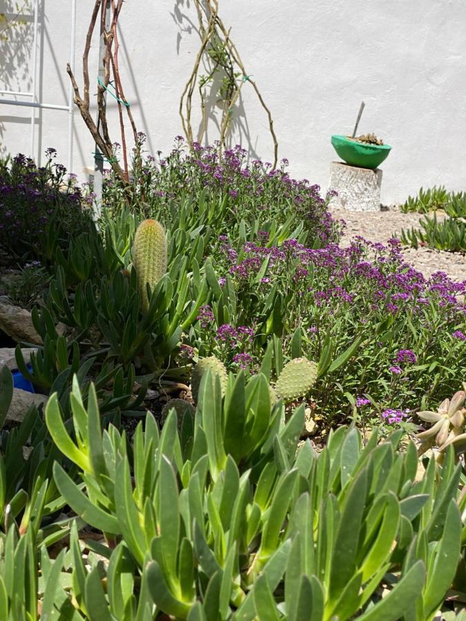 La Casa Di Nina Bed & Breakfast Lecce Eksteriør bilde
