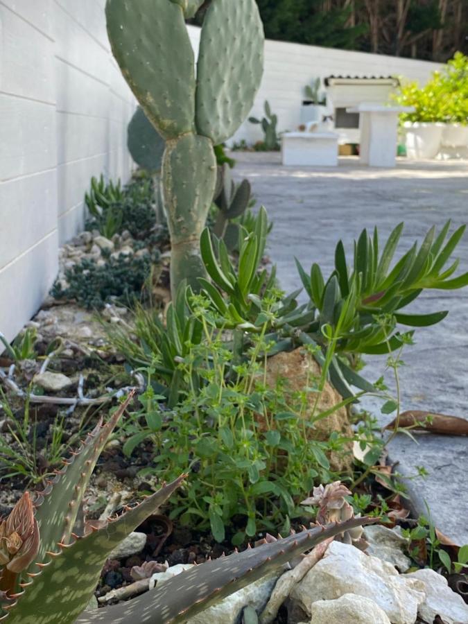 La Casa Di Nina Bed & Breakfast Lecce Eksteriør bilde