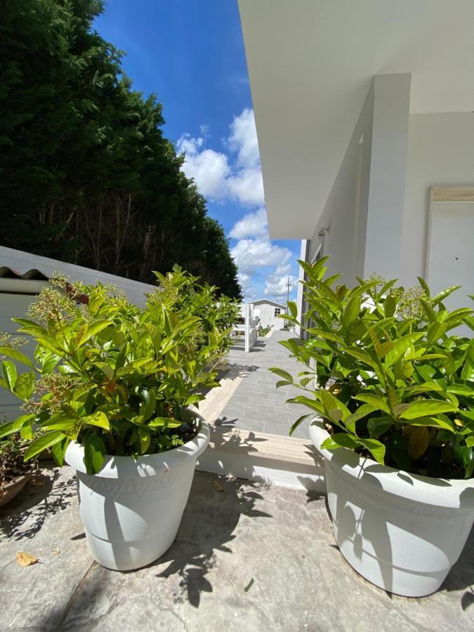 La Casa Di Nina Bed & Breakfast Lecce Eksteriør bilde